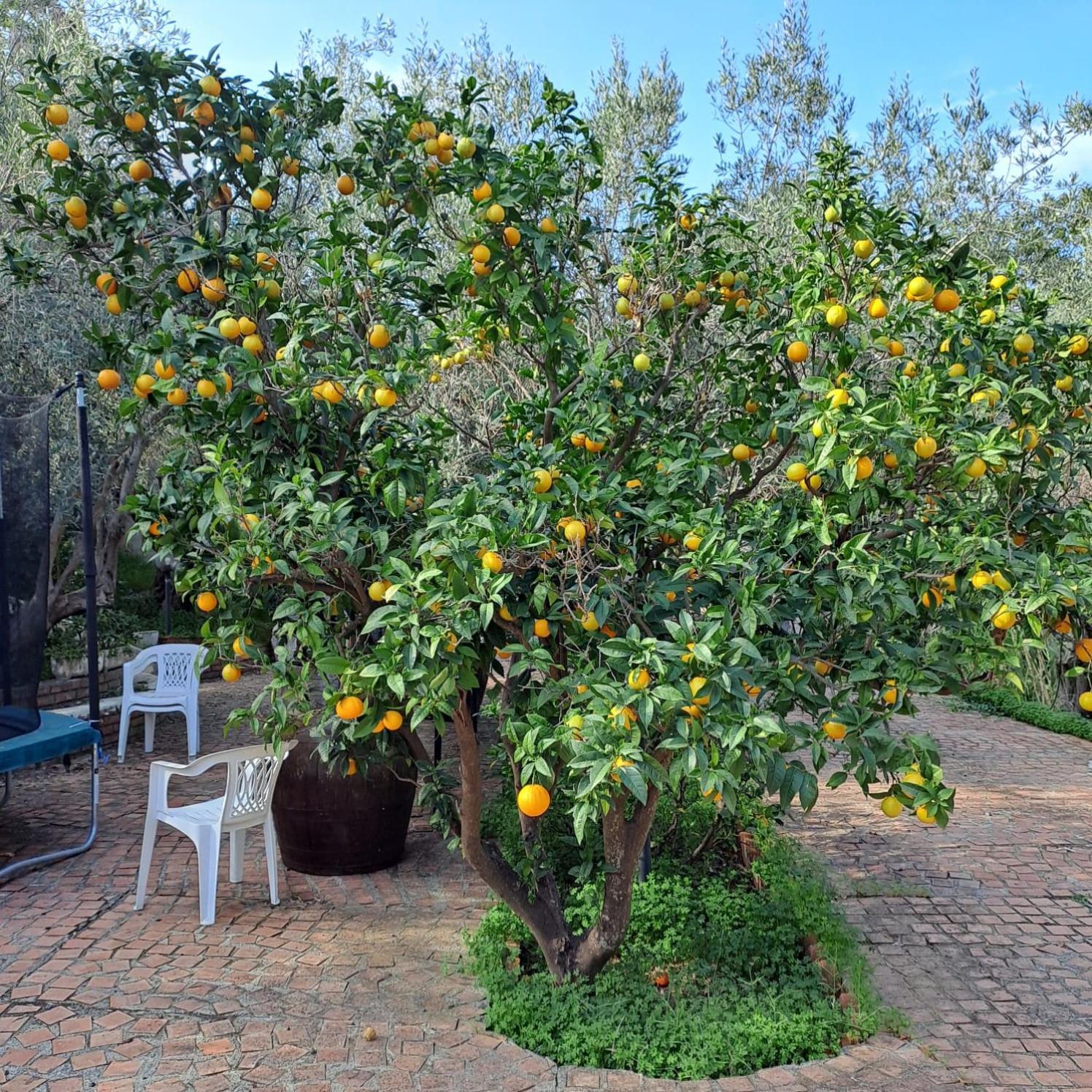 Villa Gatto Rometta Marea Bagian luar foto